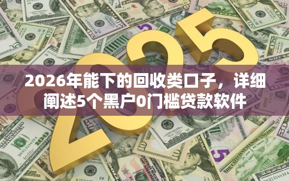 2026年能下的回收类口子，详细阐述5个黑户0门槛贷款软件