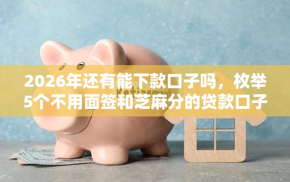 2026年还有能下款口子吗，枚举5个不用面签和芝麻分的贷款口子