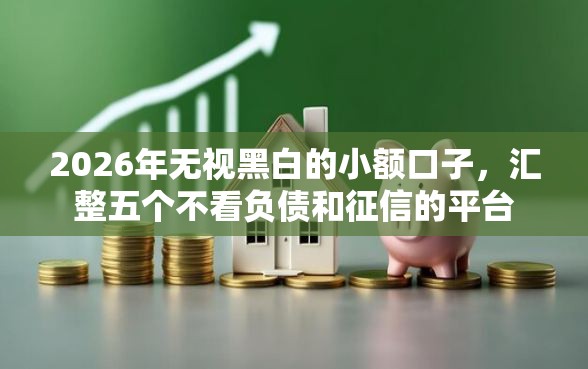 2026年无视黑白的小额口子，汇整五个不看负债和征信的平台