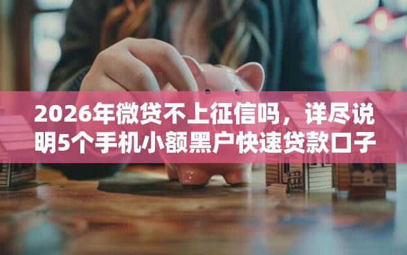 2026年微贷不上征信吗，详尽说明5个手机小额黑户快速贷款口子