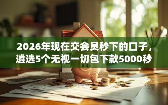 2026年现在交会员秒下的口子，遴选5个无视一切包下款5000秒下款的app