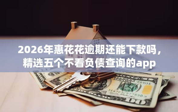 2026年惠花花逾期还能下款吗，精选五个不看负债查询的app