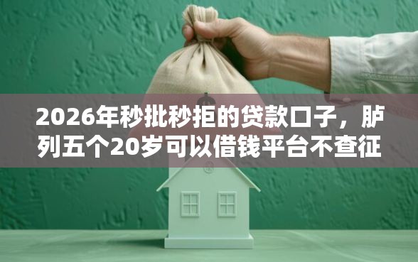 2026年秒批秒拒的贷款口子，胪列五个20岁可以借钱平台不查征信的口子