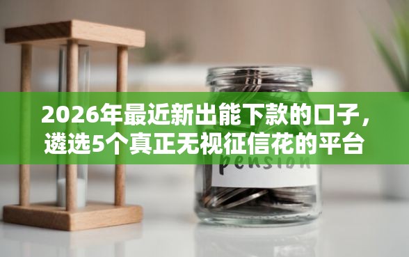 2026年最近新出能下款的口子，遴选5个真正无视征信花的平台