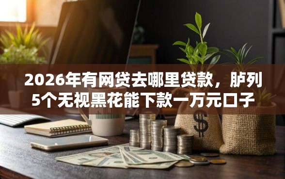 2026年有网贷去哪里贷款，胪列5个无视黑花能下款一万元口子