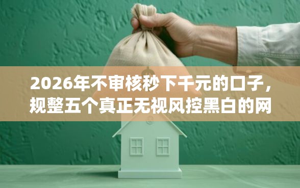 2026年不审核秒下千元的口子，规整五个真正无视风控黑白的网贷app