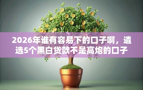 2026年谁有容易下的口子啊，遴选5个黑白贷款不是高炮的口子