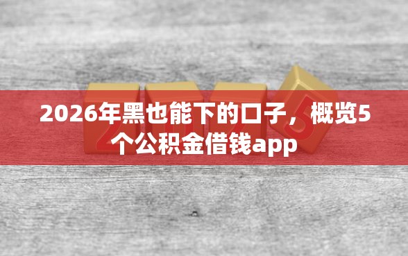 2026年黑也能下的口子，概览5个公积金借钱app