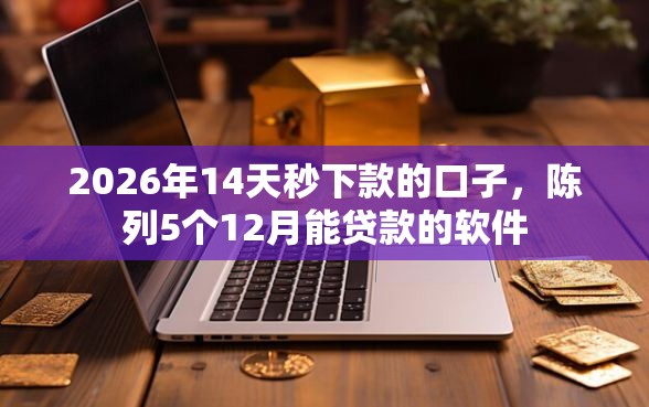 2026年14天秒下款的口子，陈列5个12月能贷款的软件