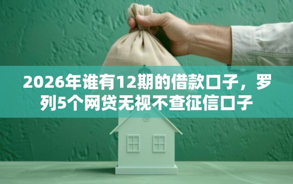 2026年谁有12期的借款口子，罗列5个网贷无视不查征信口子