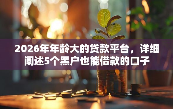 2026年年龄大的贷款平台，详细阐述5个黑户也能借款的口子