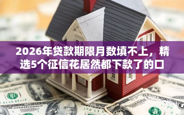 2026年贷款期限月数填不上，精选5个征信花居然都下款了的口子