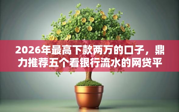 2026年最高下款两万的口子，鼎力推荐五个看银行流水的网贷平台