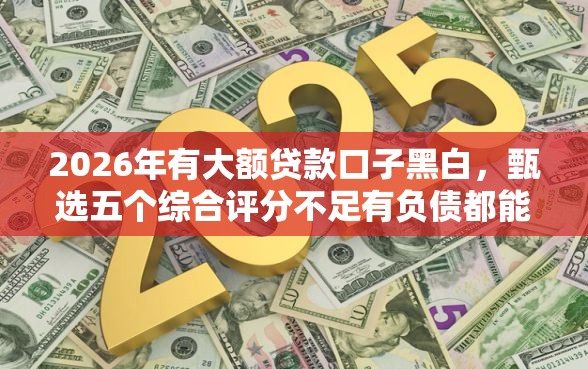 2026年有大额贷款口子黑白，甄选五个综合评分不足有负债都能下款口子
