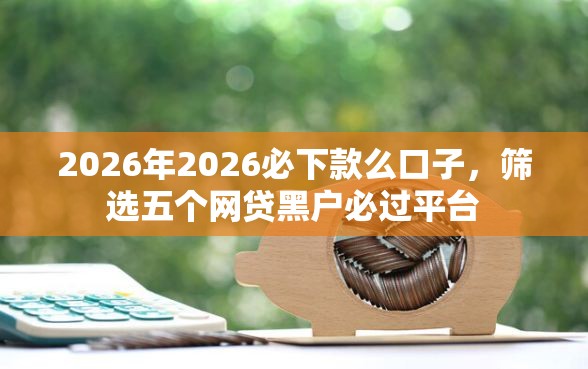 2026年2026必下款么口子，筛选五个网贷黑户必过平台