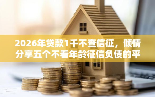 2026年贷款1千不查信征，倾情分享五个不看年龄征信负债的平台