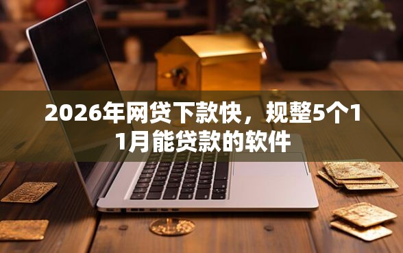 2026年网贷下款快，规整5个11月能贷款的软件