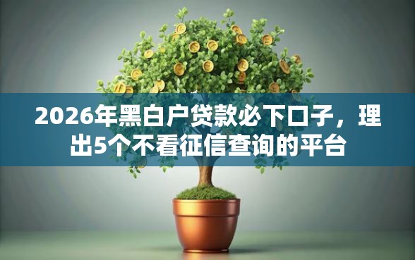 2026年黑白户贷款必下口子，理出5个不看征信查询的平台
