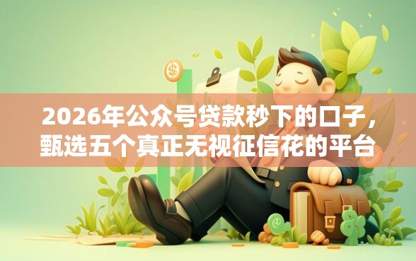 2026年公众号贷款秒下的口子，甄选五个真正无视征信花的平台