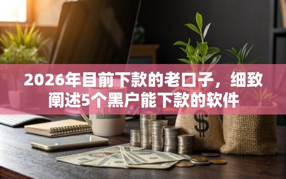 2026年目前下款的老口子，细致阐述5个黑户能下款的软件