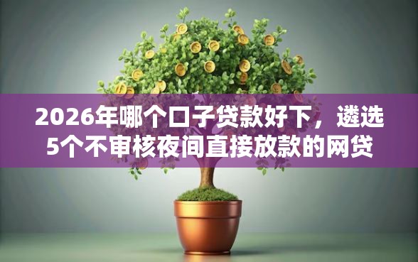 2026年哪个口子贷款好下，遴选5个不审核夜间直接放款的网贷口子