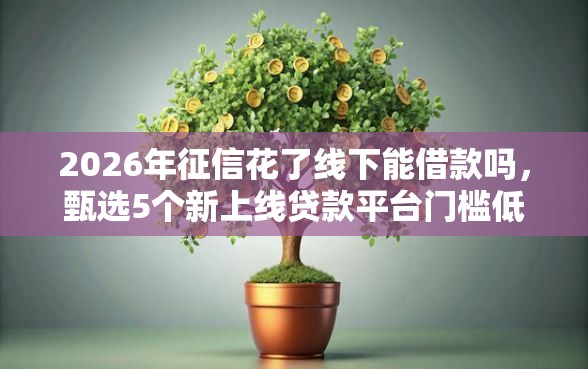 2026年征信花了线下能借款吗，甄选5个新上线贷款平台门槛低口子