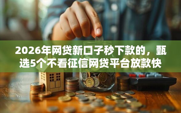 2026年网贷新口子秒下款的，甄选5个不看征信网贷平台放款快的软件