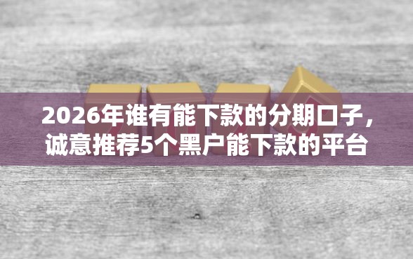 2026年谁有能下款的分期口子，诚意推荐5个黑户能下款的平台