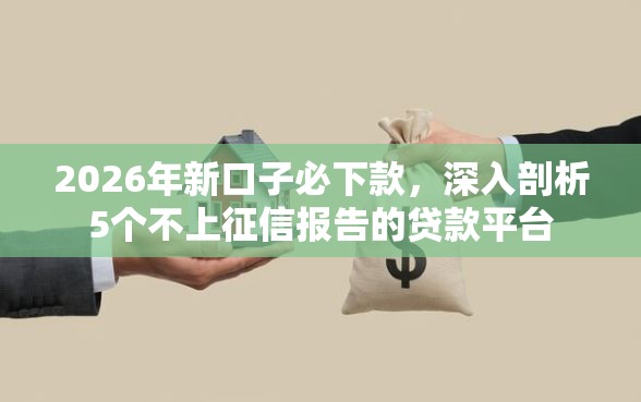 2026年新口子必下款，深入剖析5个不上征信报告的贷款平台