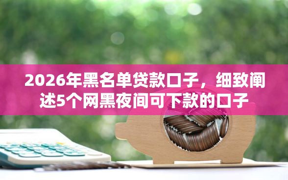2026年黑名单贷款口子，细致阐述5个网黑夜间可下款的口子
