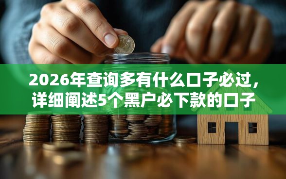 2026年查询多有什么口子必过，详细阐述5个黑户必下款的口子