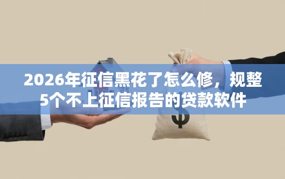 2026年征信黑花了怎么修，规整5个不上征信报告的贷款软件