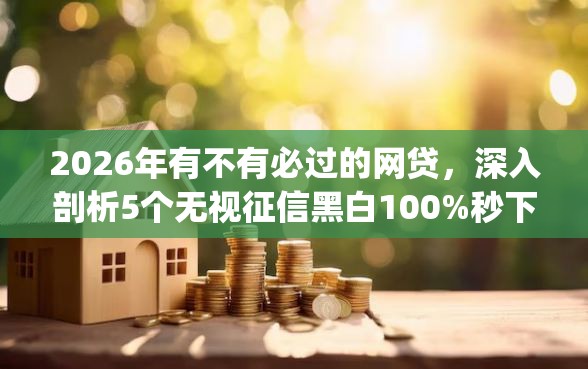 2026年有不有必过的网贷，深入剖析5个无视征信黑白100%秒下网贷app