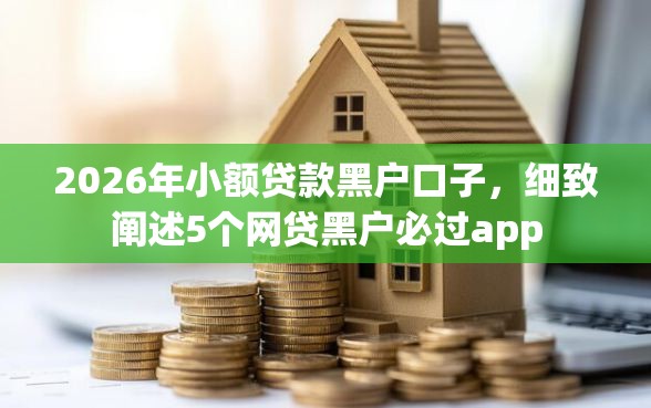 2026年小额贷款黑户口子，细致阐述5个网贷黑户必过app