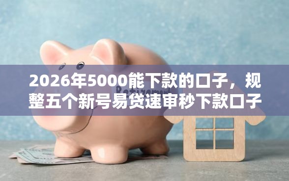 2026年5000能下款的口子，规整五个新号易贷速审秒下款口子