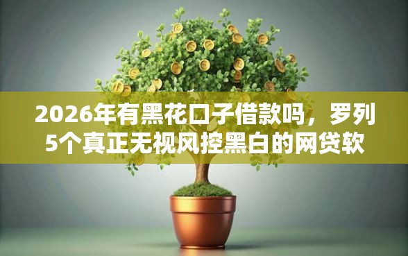 2026年有黑花口子借款吗，罗列5个真正无视风控黑白的网贷软件