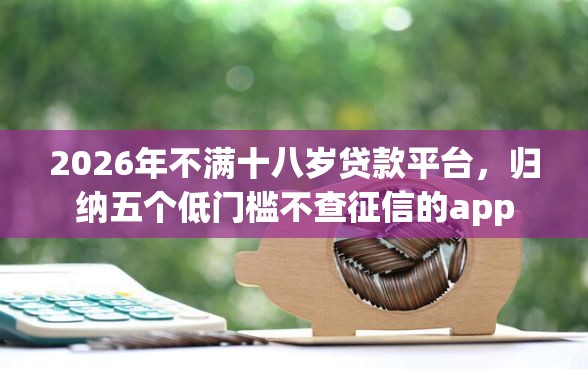 2026年不满十八岁贷款平台，归纳五个低门槛不查征信的app