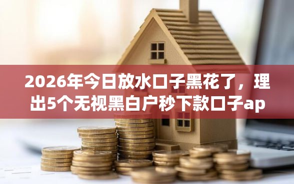 2026年今日放水口子黑花了，理出5个无视黑白户秒下款口子app