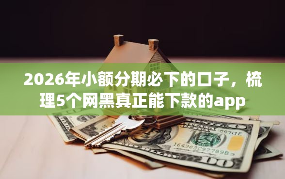2026年小额分期必下的口子，梳理5个网黑真正能下款的app