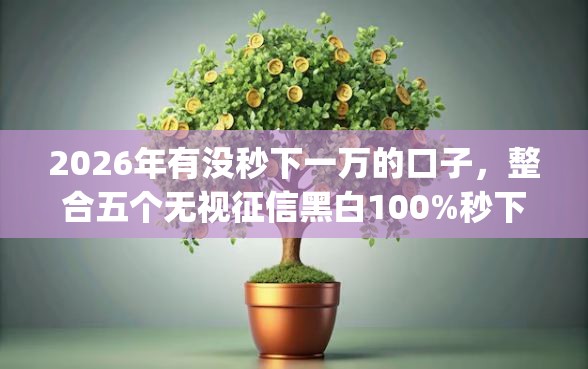 2026年有没秒下一万的口子，整合五个无视征信黑白100%秒下app