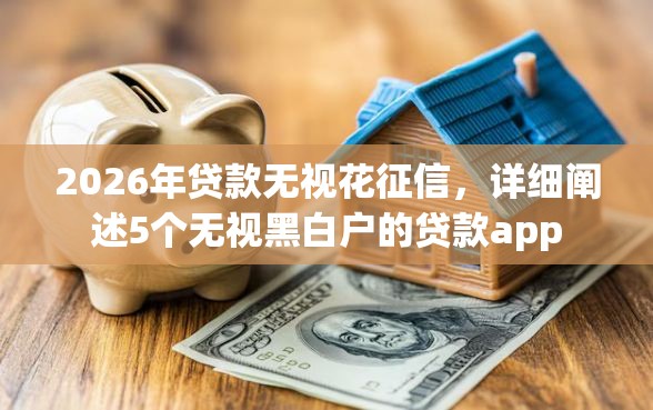 2026年贷款无视花征信，详细阐述5个无视黑白户的贷款app