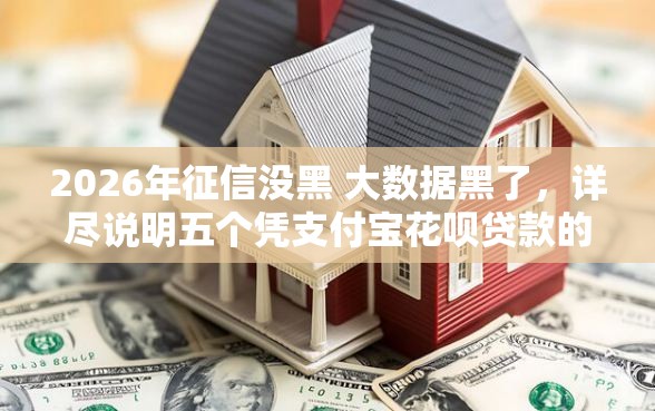 2026年征信没黑 大数据黑了，详尽说明五个凭支付宝花呗贷款的平台