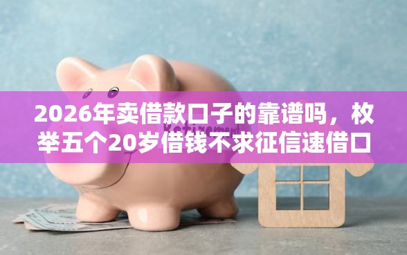2026年卖借款口子的靠谱吗，枚举五个20岁借钱不求征信速借口子