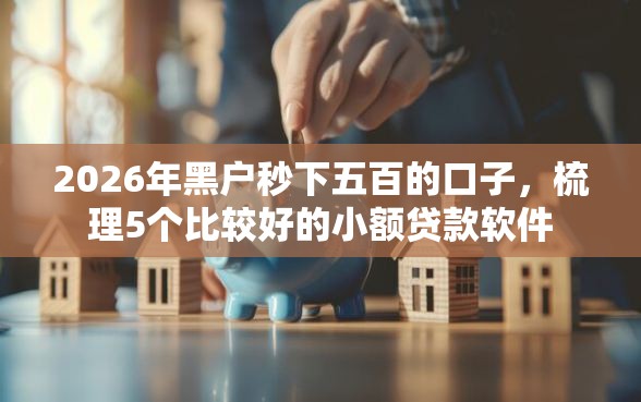 2026年黑户秒下五百的口子，梳理5个比较好的小额贷款软件