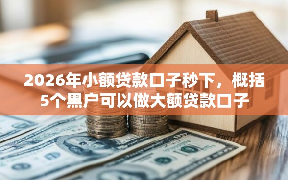2026年小额贷款口子秒下，概括5个黑户可以做大额贷款口子