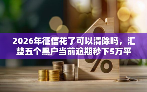 2026年征信花了可以清除吗，汇整五个黑户当前逾期秒下5万平台