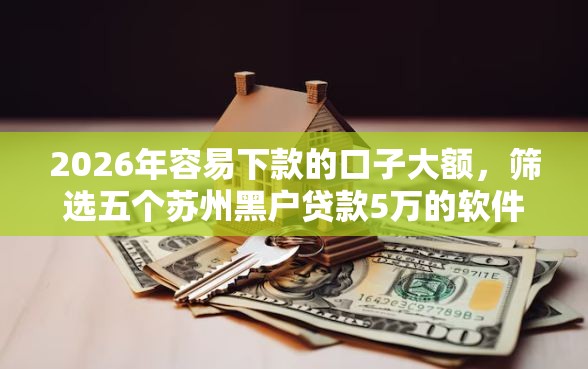 2026年容易下款的口子大额，筛选五个苏州黑户贷款5万的软件