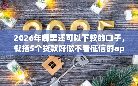 2026年哪里还可以下款的口子，概括5个贷款好做不看征信的app