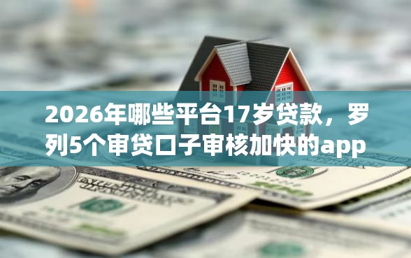 2026年哪些平台17岁贷款，罗列5个审贷口子审核加快的app