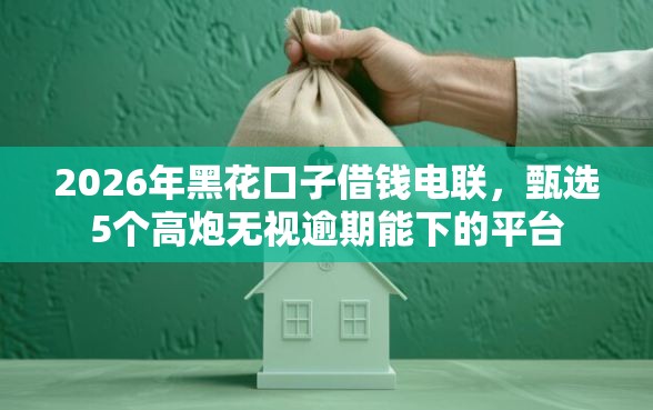 2026年黑花口子借钱电联，甄选5个高炮无视逾期能下的平台